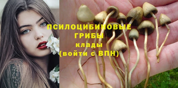 мет Дмитровск