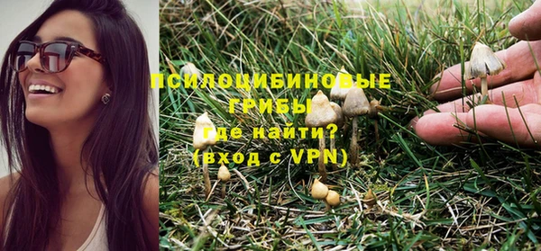 дмт Армянск